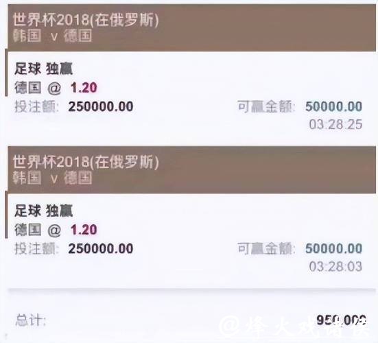 世界杯下注平台上的各种投注类型解析 世界杯下注平台上的各种投注类型解析